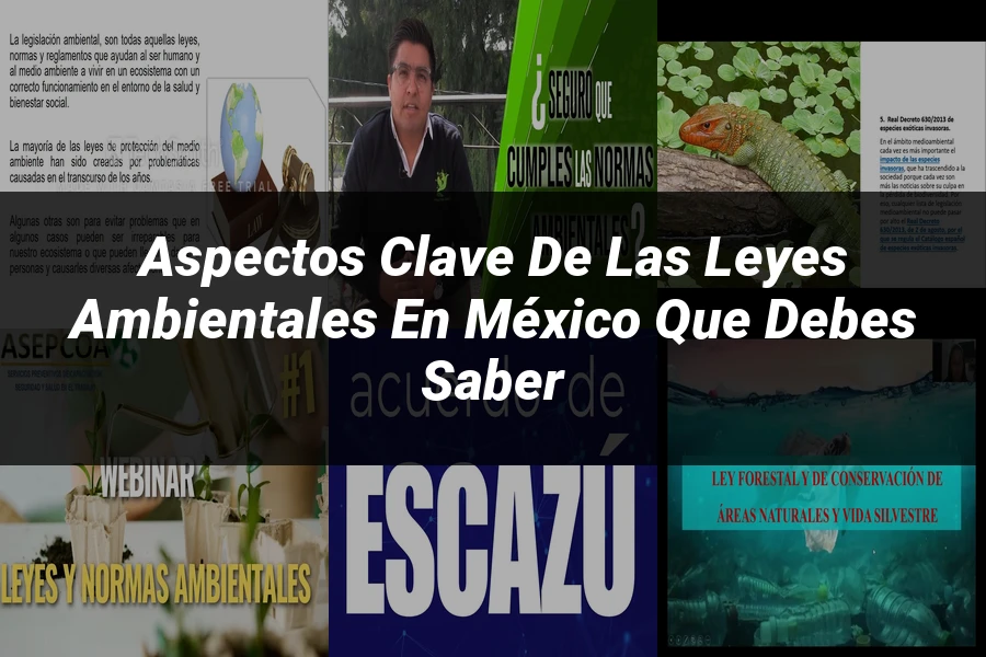 "Aspectos clave de las leyes ambientales en México que debes saber"