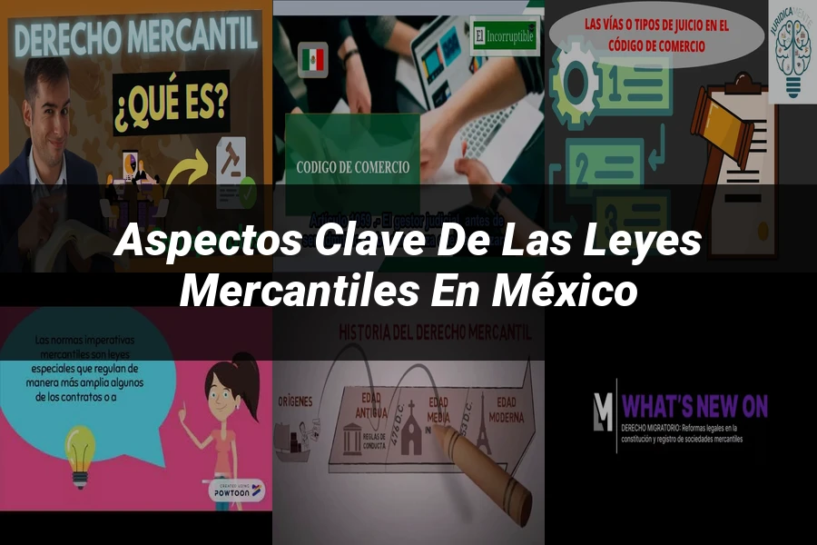"Aspectos clave de las leyes mercantiles en México"