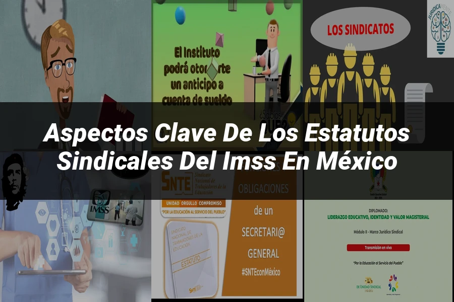 "Aspectos clave de los estatutos sindicales del IMSS en México"