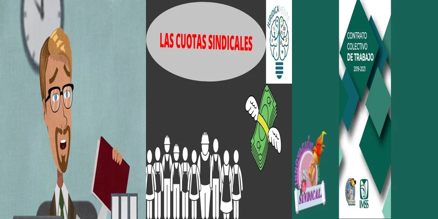 "Aspectos clave de los estatutos sindicales del IMSS en México"