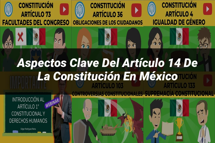 "Aspectos clave del artículo 14 de la Constitución en México"