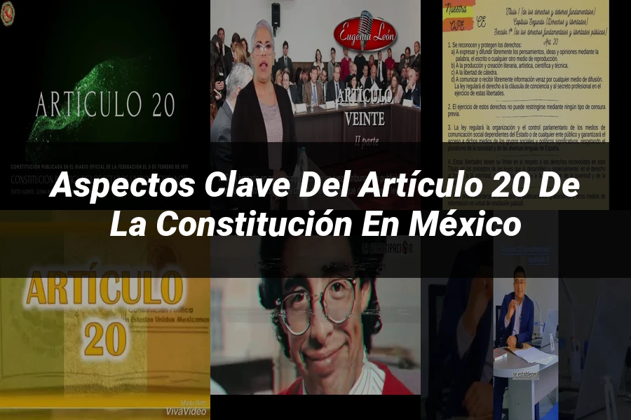 "Aspectos clave del artículo 20 de la Constitución en México"