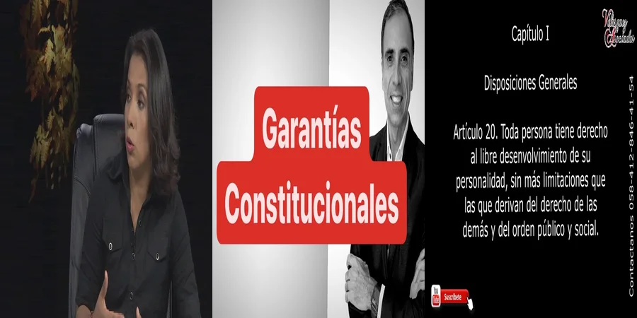 "Aspectos clave del artículo 20 de la Constitución en México"