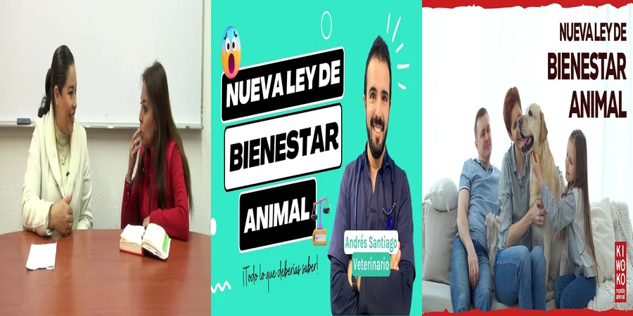 "Aspectos clave del bienestar animal en las leyes de México"