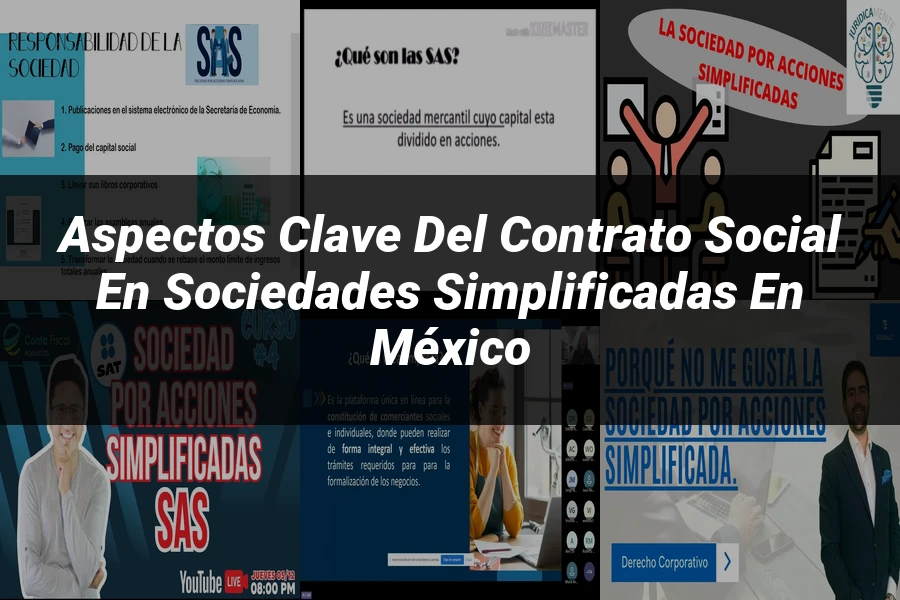 "Aspectos clave del contrato social en sociedades simplificadas en México"