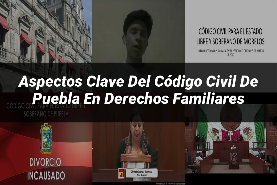 "Aspectos clave del código civil de Puebla en derechos familiares"
