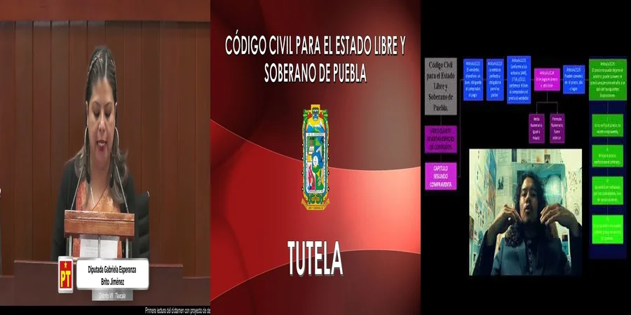 "Aspectos clave del código civil de Puebla en el contexto legal"