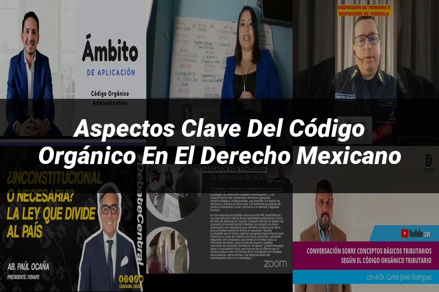 "Aspectos clave del código orgánico en el derecho mexicano"