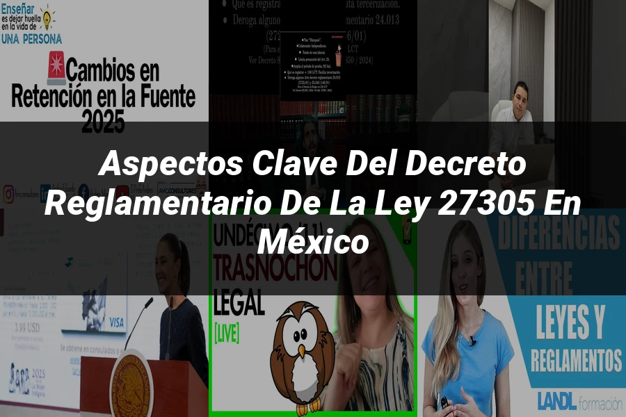 "Aspectos clave del decreto reglamentario de la ley 27305 en México"