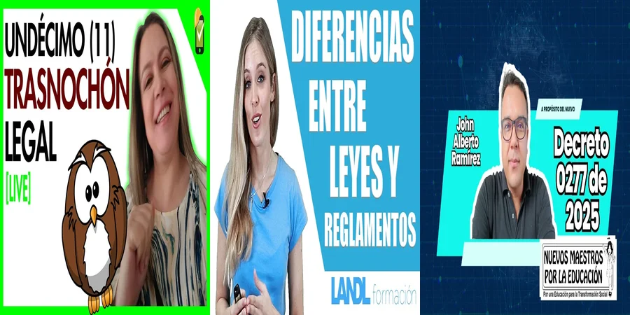 "Aspectos clave del decreto reglamentario de la ley 27305 en México"