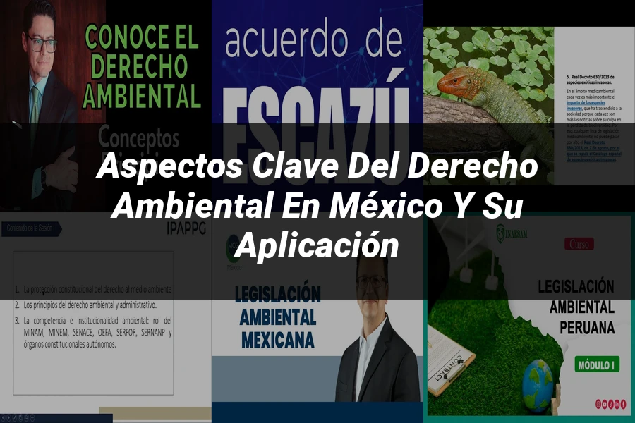 "Aspectos clave del derecho ambiental en México y su aplicación"