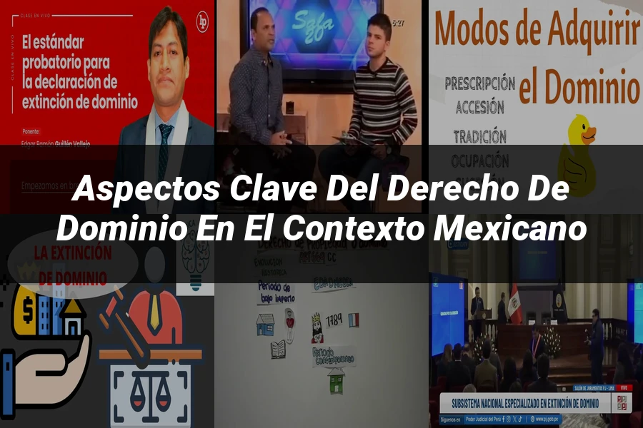 "Aspectos clave del derecho de dominio en el contexto mexicano"