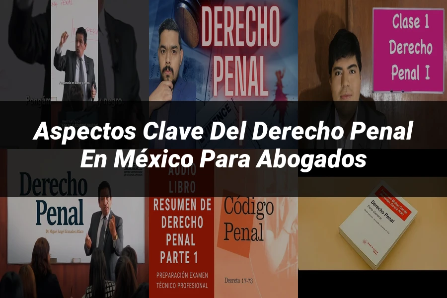"Aspectos clave del derecho penal en México para abogados"