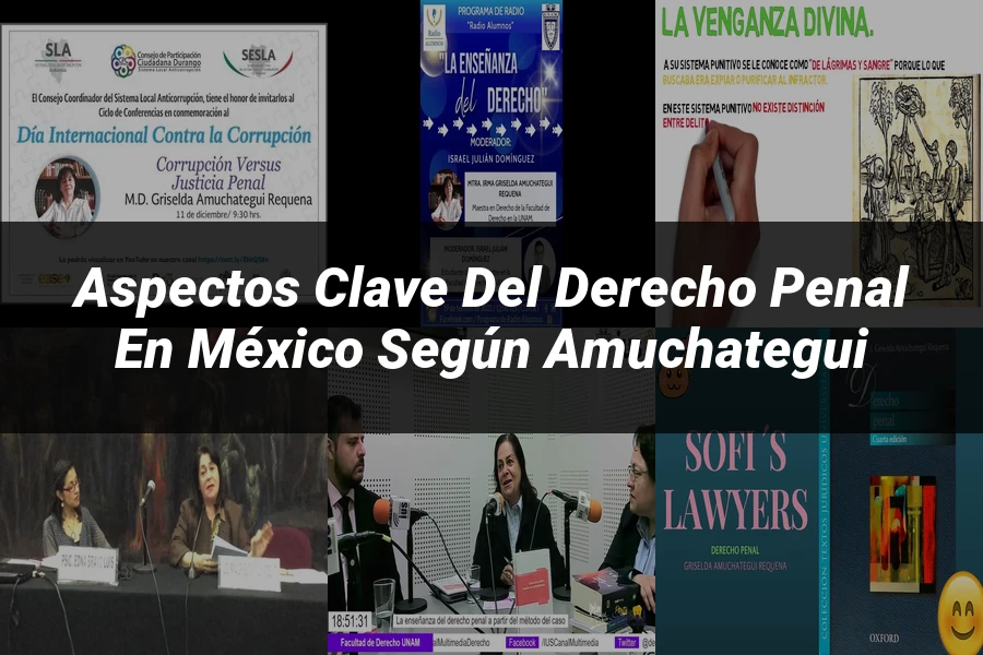 "Aspectos clave del derecho penal en México según Amuchategui"