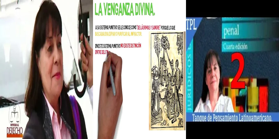 "Aspectos clave del derecho penal en México según Amuchategui"