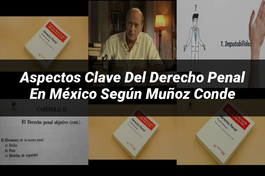 "Aspectos clave del derecho penal en México según Muñoz Conde"