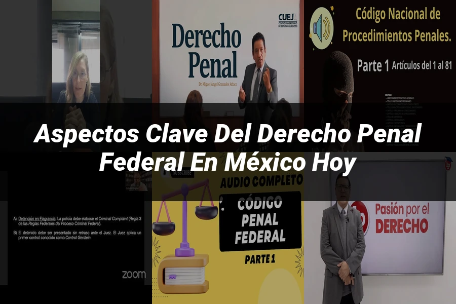 "Aspectos clave del derecho penal federal en México hoy"