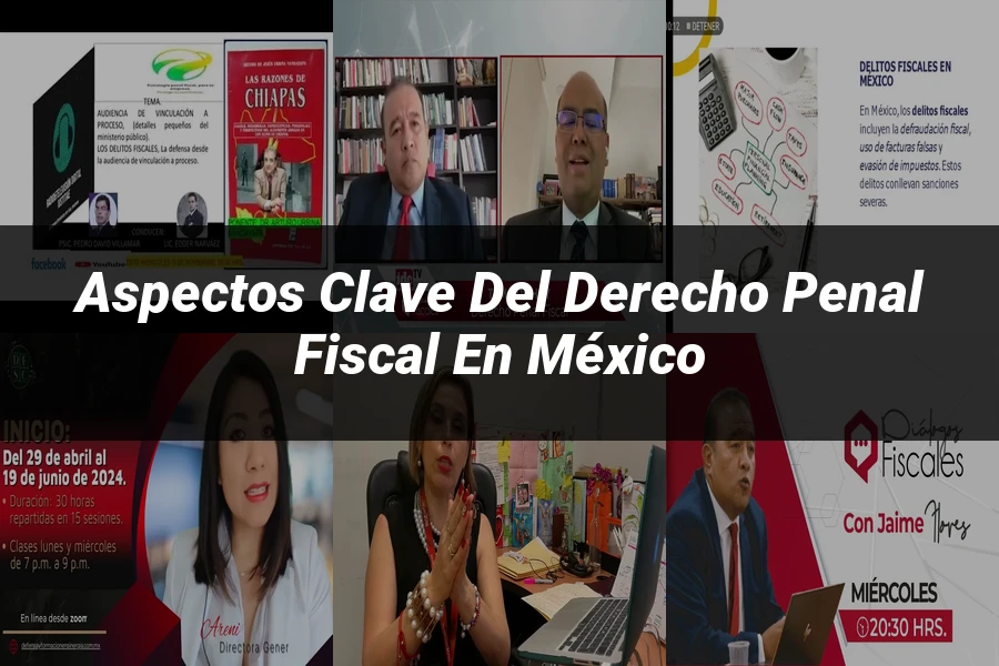 "Aspectos clave del derecho penal fiscal en México"