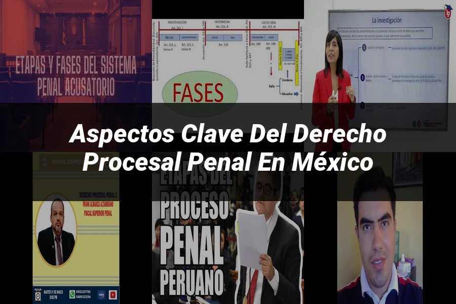 "Aspectos clave del derecho procesal penal en México"