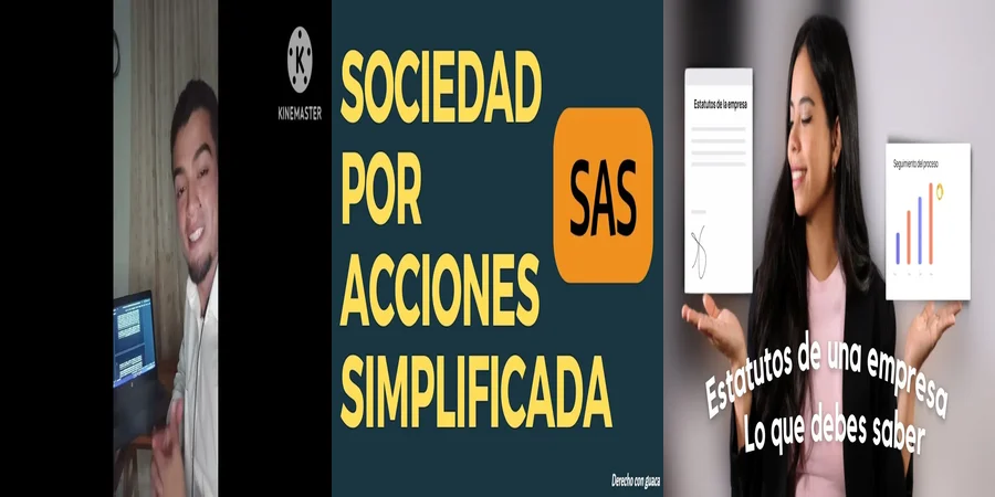 "Aspectos clave del estatuto sas en el contexto legal mexicano"