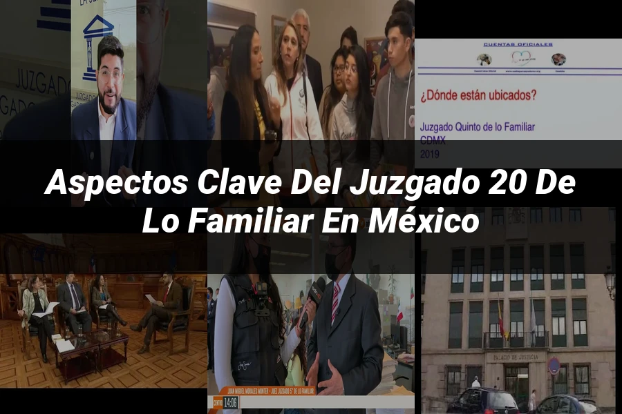 "Aspectos clave del juzgado 20 de lo familiar en México"