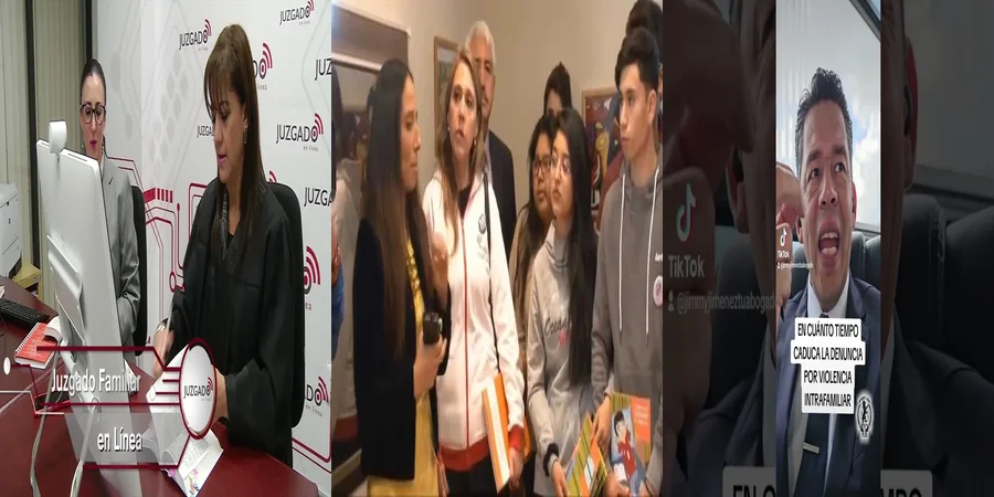 "Aspectos clave del juzgado 20 de lo familiar en México"