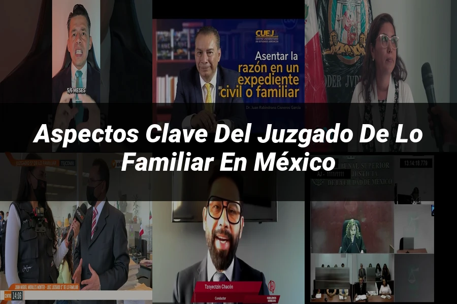 "Aspectos clave del juzgado de lo familiar en México"