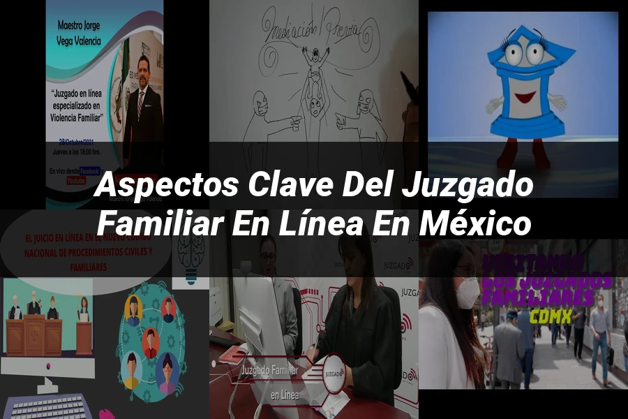 "Aspectos clave del juzgado familiar en línea en México"