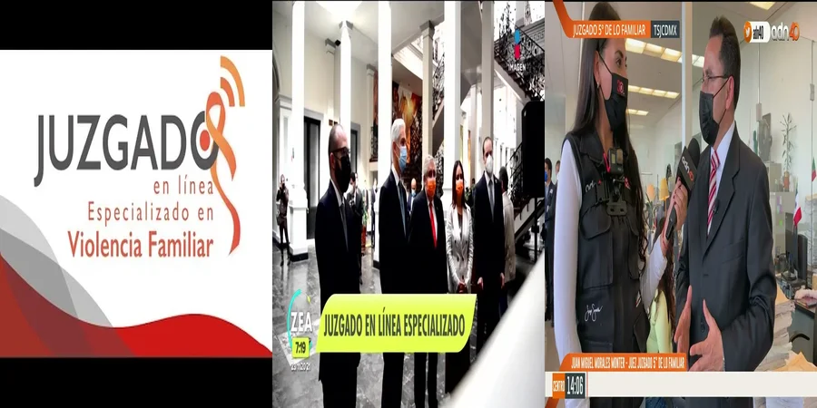 "Aspectos clave del juzgado familiar en línea en México"