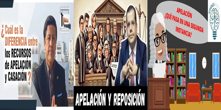 "Aspectos clave del recurso de apelación en el sistema legal mexicano"