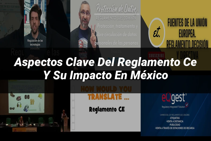"Aspectos clave del reglamento CE y su impacto en México"