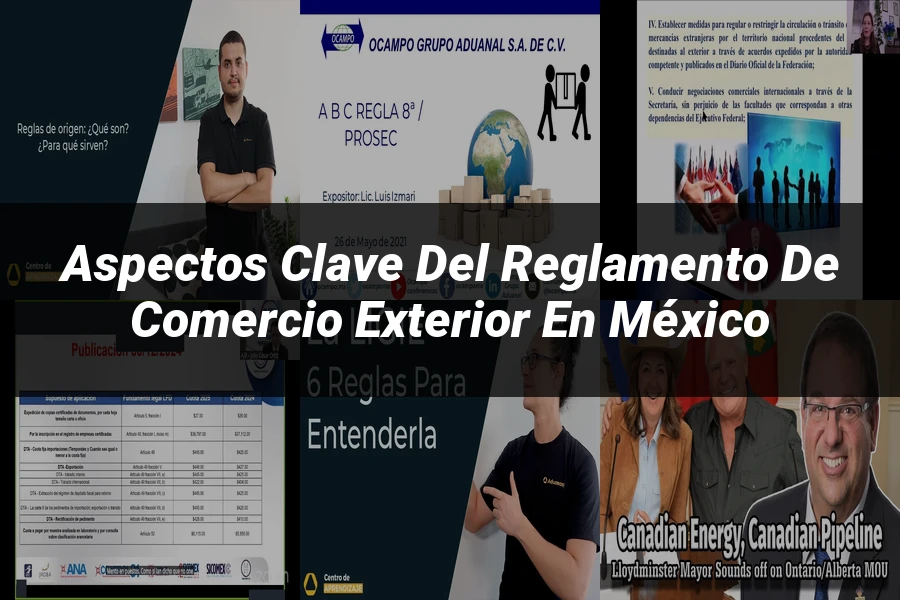 "Aspectos clave del reglamento de comercio exterior en México"