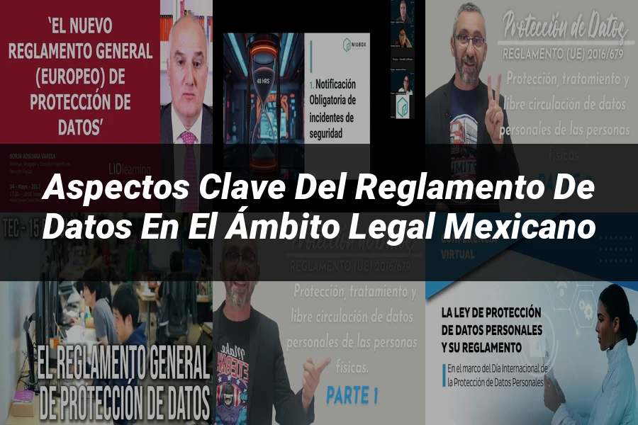 "Aspectos clave del reglamento de datos en el ámbito legal mexicano"