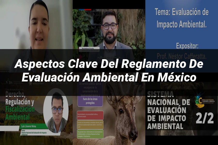 "Aspectos clave del reglamento de evaluación ambiental en México"