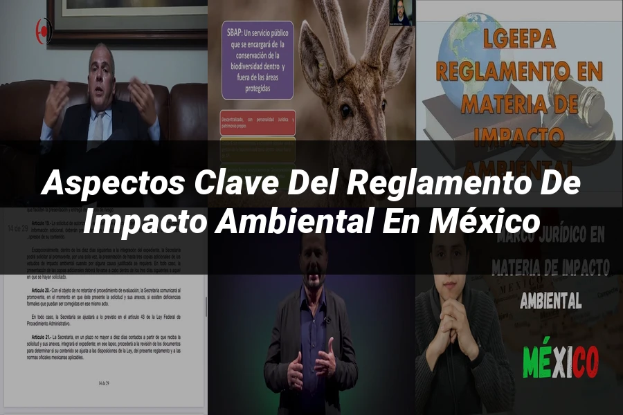 "Aspectos clave del reglamento de impacto ambiental en México"