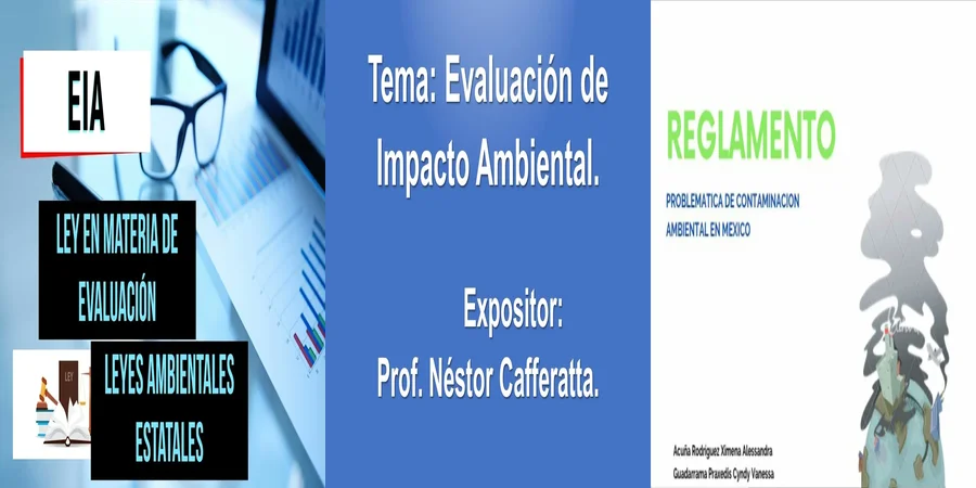 "Aspectos clave del reglamento de impacto ambiental en México"