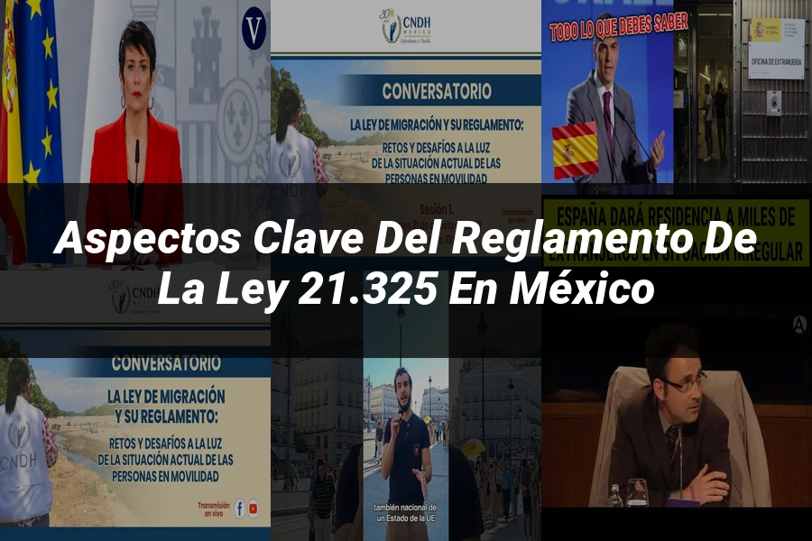 "Aspectos clave del reglamento de la ley 21.325 en México"