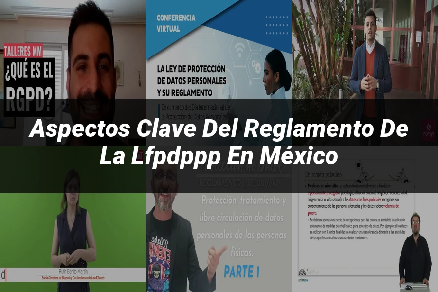 "Aspectos clave del reglamento de la lfpdppp en México"