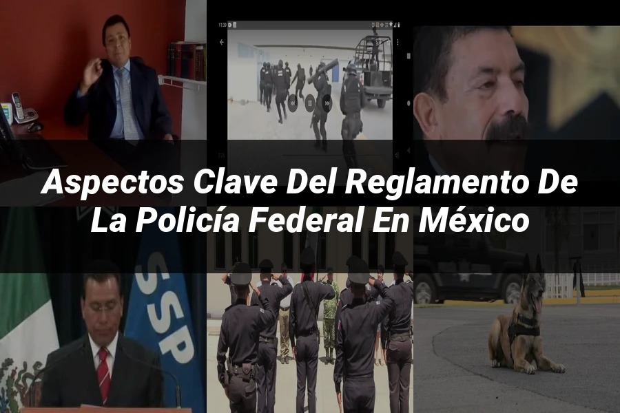 "Aspectos clave del reglamento de la policía federal en México"