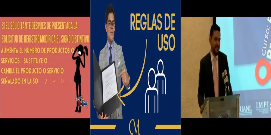 "Aspectos clave del reglamento del IMPI en México para abogados"