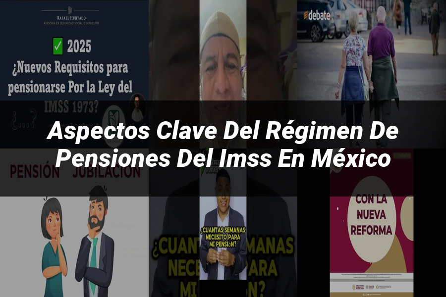 "Aspectos clave del régimen de pensiones del IMSS en México"