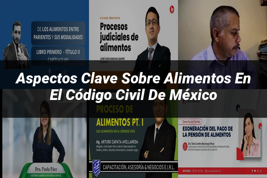 "Aspectos clave sobre alimentos en el Código Civil de México"