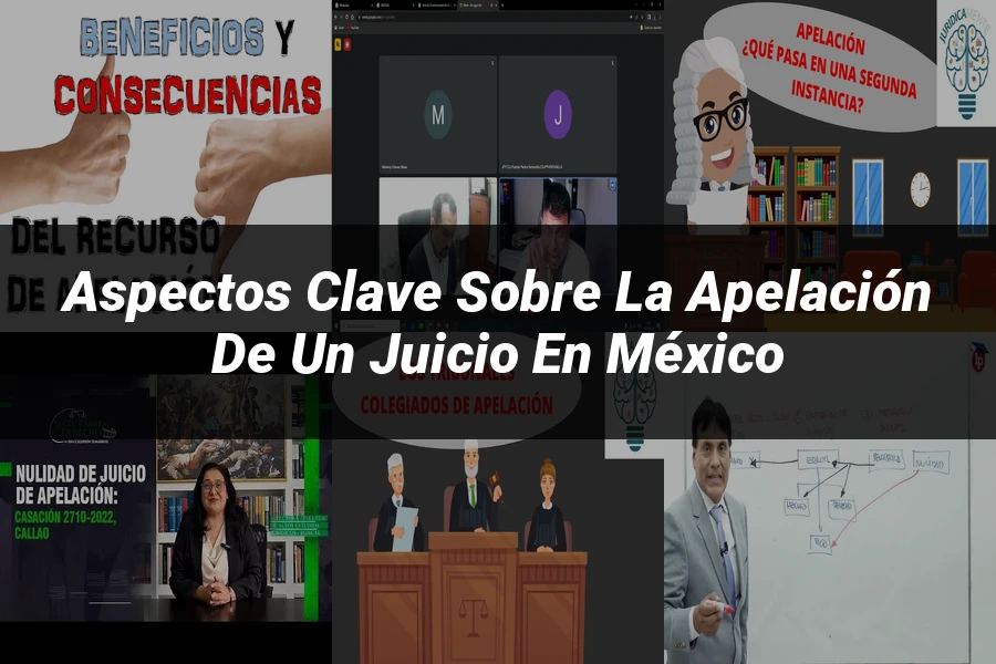"Aspectos clave sobre la apelación de un juicio en México"