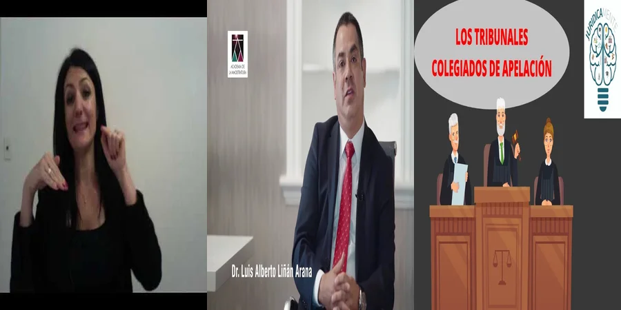 "Aspectos clave sobre la apelación de un juicio en México"