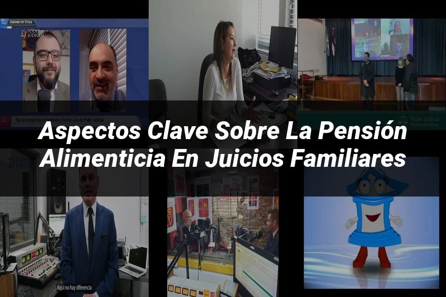"Aspectos clave sobre la pensión alimenticia en juicios familiares"