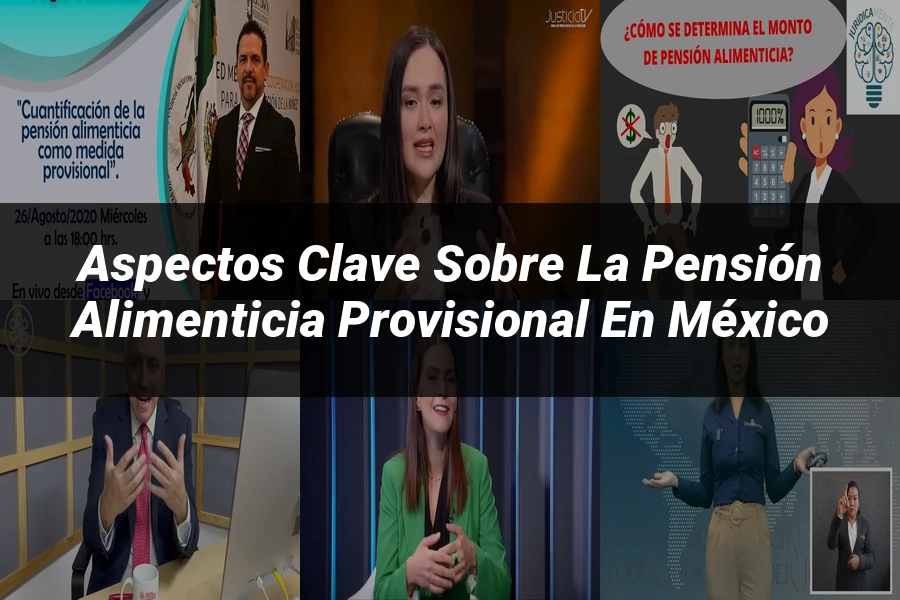 "Aspectos clave sobre la pensión alimenticia provisional en México"