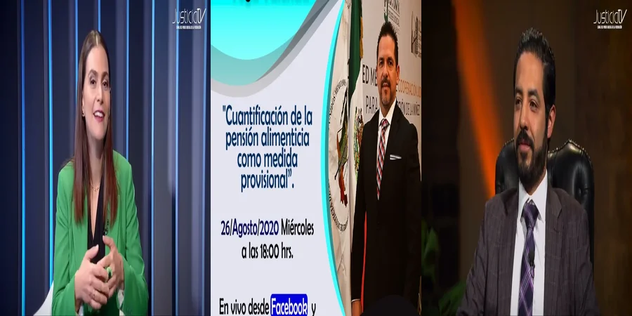 "Aspectos clave sobre la pensión alimenticia provisional en México"