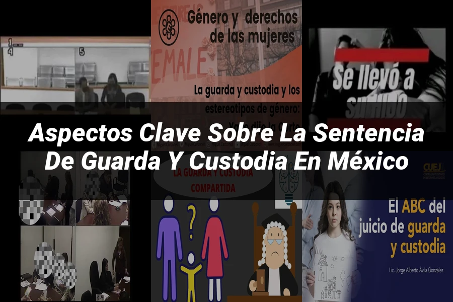 "Aspectos clave sobre la sentencia de guarda y custodia en México"