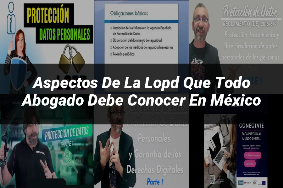 "Aspectos de la LOPD que Todo Abogado Debe Conocer en México"