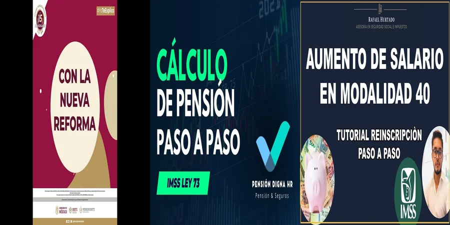 "Aspectos de la Ley Modalidad 40 del IMSS en México"